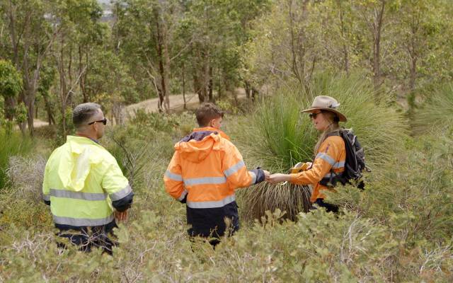 Ecology Field Survey Discuss