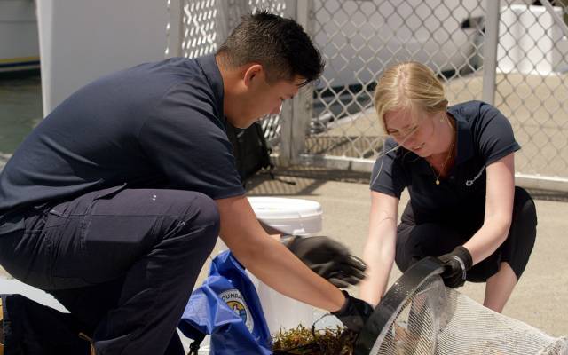 Seabin Julia Nicholson And Andrew Cheok Inspecting Collected Debris